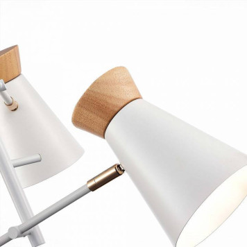 Потолочная люстра EVOLUCE Alfeo SLE1252-502-03-5