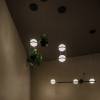 Подвесной светильник Imperiumloft Palma Wall Lamp 22.93726