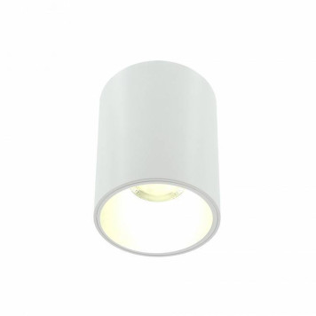 Накладной светильник LIGHTERA Shamrock LE200CL-1W-3