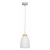 Подвесной светильник Loft it Watchman LOFT4402A-WH