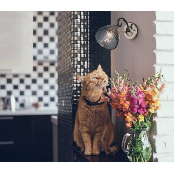 Бра De City Клэр 2 463021901-3