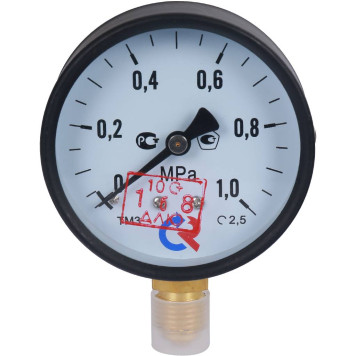 Манометр Росма ТМ-310Р G1/4 0-1МРа 150 град. кл.2,5 63 мм-1