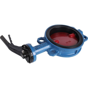 Затвор диск чугун VPI4448 Ду150 Ру16 EP Tecofi-3