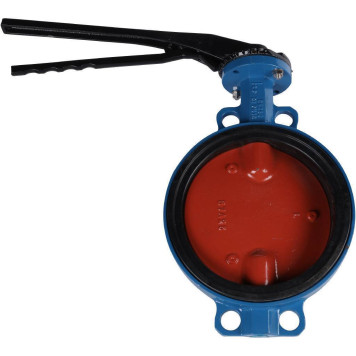 Затвор диск чугун VPI4448 Ду250 Ру16 EP Tecofi-1