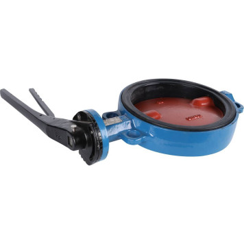 Затвор диск чугун VPI4448 Ду250 Ру16 EP Tecofi-2