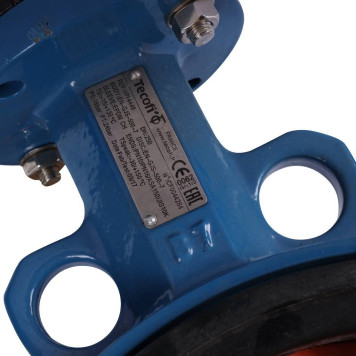 Затвор диск чугун VPI4448 Ду250 Ру16 EP Tecofi-3