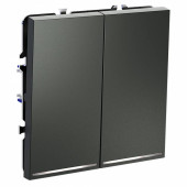 Выключатель двухклавишный с подсветкой без рамки Voltum S70 VLS020206