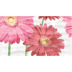 Dec Gerbera Panno A КПН16GerberaA 25х45