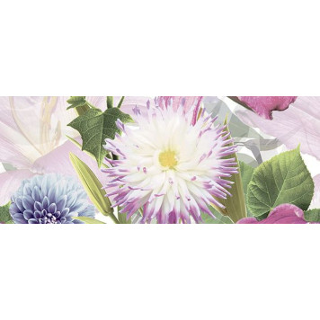 Dec Amoria Panno A 20х50