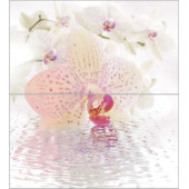 Dec Orchid Panno (панно из 2-х шт) КПН16Orchid 50х45