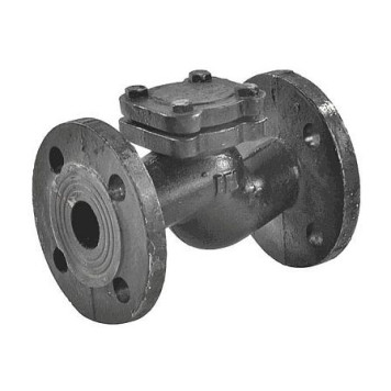 Клапан обр чуг подъем 16кч9нж Ду32 Ру25 фл /чуг TYCX