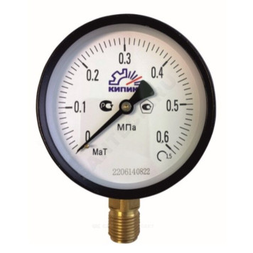 Манометр рад МаТ-100 0-1,6МПаДк100 G1/2 ст Пензапромарматура 53101100