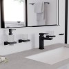 Hansgrohe AddStoris Крючок двойной, цвет: черный матовый