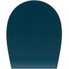 Allen Brau Fantasy Крышка-сиденье для унитаза 36x44x4h см, цвет: зеленый 4.11005.PT