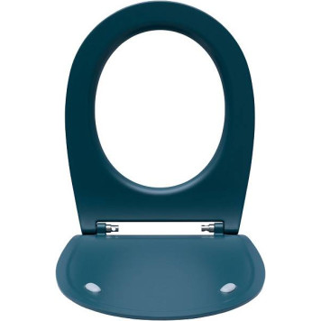 Allen Brau Fantasy Крышка-сиденье для унитаза 36x44x4h см, цвет: зеленый 4.11005.PT-1