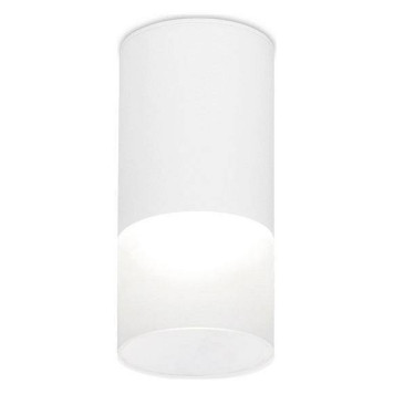 Накладной светильник Ambrella Light TN TN231