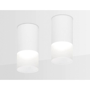 Накладной светильник Ambrella Light TN TN231-2
