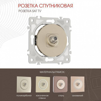 ТВ-розетка без рамки Arte Milano am-202 202.42-1.shampan-1