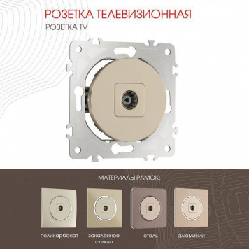 ТВ-розетка без рамки Arte Milano am-202 202.43-1.shampan-1