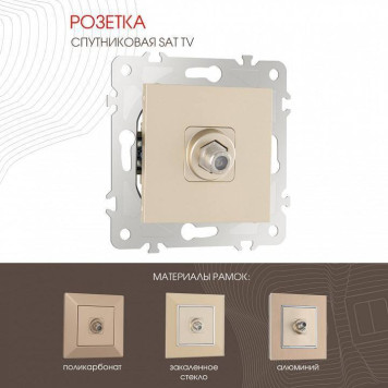 ТВ-розетка без рамки Arte Milano am-203 203.42-1.shampan-1