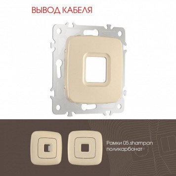 Розетка для вывод кабеля без рамки Arte Milano am-205 205.49-1.shampan-1