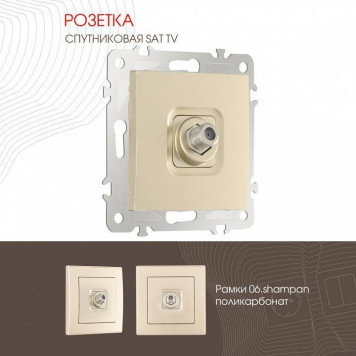 ТВ-розетка без рамки Arte Milano am-206 206.42-1.shampan-1