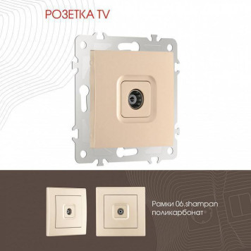 ТВ-розетка без рамки Arte Milano am-206 206.43-1.shampan-1