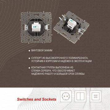 Розетка телефонная RJ-11 без рамки Arte Milano am-217 217.51-1.shampan-2