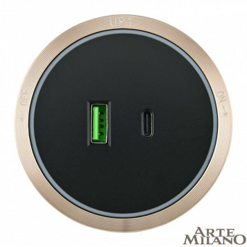 Розетка USB и type C на треке Arte Milano Am-track-sockets 380066TS LED/USB-Type-C Gold-2