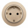 Розетка с заземлением на треке Arte Milano Am-track-sockets-39 397951TS/ES Gold