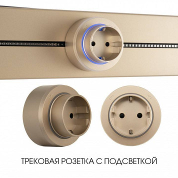 Розетка с заземлением на треке Arte Milano Am-track-sockets-39 397951TS/ES Gold-4