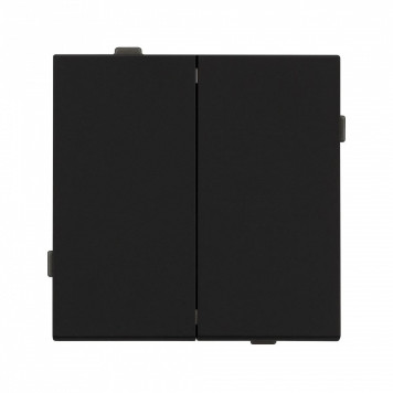 Выключатель двухклавишный без рамки Arlight SWT 054544-2