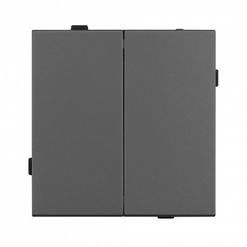 Выключатель двухклавишный без рамки Arlight SWT 054546-1