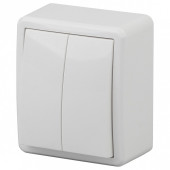 Выключатель двухклавишный Эра Эра Эксперт 11-1204-01