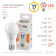 Лампа светодиодная Эра Стандарт LED A60-17W-827-E27