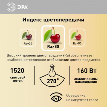 Лампа светодиодная Эра Стандарт LED A65-19W-840-E27-9