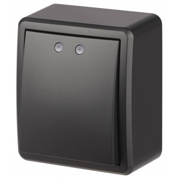 Выключатель одноклавишный с подсветкой Эра Эра Эксперт 11-1202-05-2