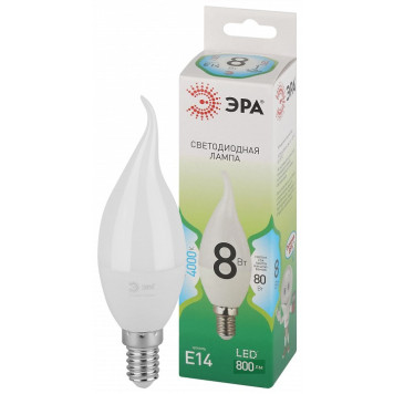 Лампа светодиодная Эра Green Line LED BXS-8W-840-E14 GL-1