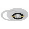 Накладной светильник Escada Antlia 10269/3LED