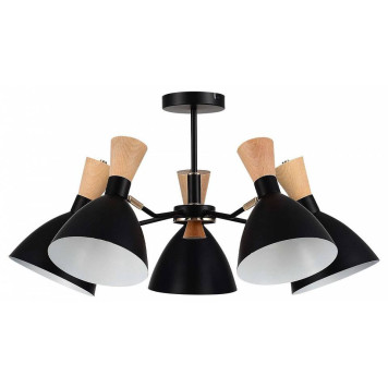 Люстра на штанге EVOLUCE VISTA SLE1256-402-05