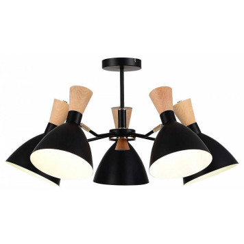 Люстра на штанге EVOLUCE VISTA SLE1256-402-05-1