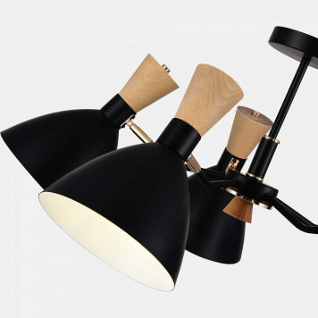 Люстра на штанге EVOLUCE VISTA SLE1256-402-05-10