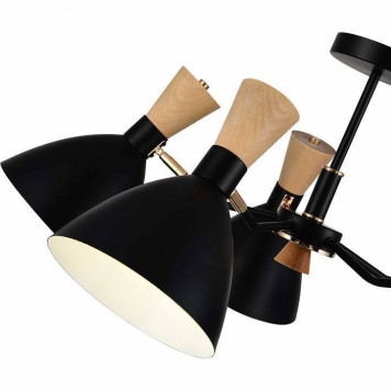 Люстра на штанге EVOLUCE VISTA SLE1256-402-05-11