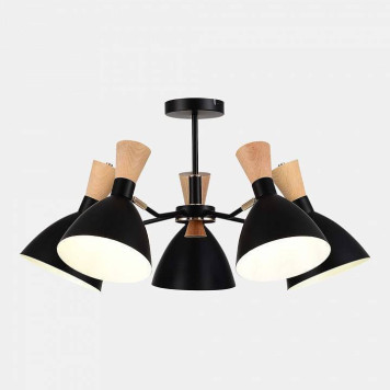 Люстра на штанге EVOLUCE VISTA SLE1256-402-05-2