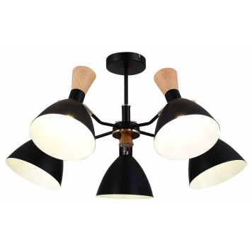 Люстра на штанге EVOLUCE VISTA SLE1256-402-05-5