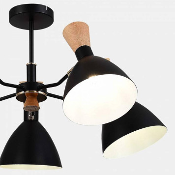 Люстра на штанге EVOLUCE VISTA SLE1256-402-05-8