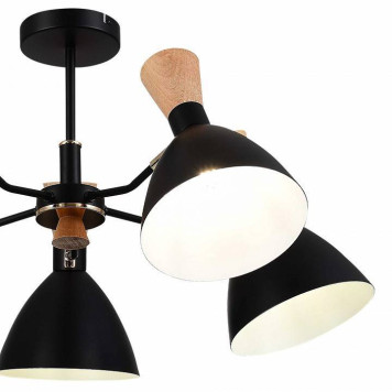 Люстра на штанге EVOLUCE VISTA SLE1256-402-05-9