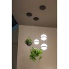 Подвесной светильник Imperiumloft Palma Wall Lamp 22.93727