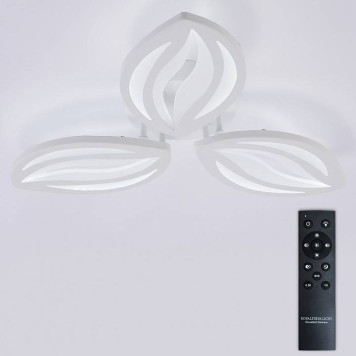 Потолочная люстра Natali Kovaltseva SM LED LAMPS 81456-2