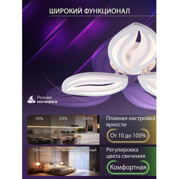 Потолочная люстра Natali Kovaltseva SM LED LAMPS 81456-5